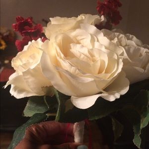 Meet your Posher, Lorraine